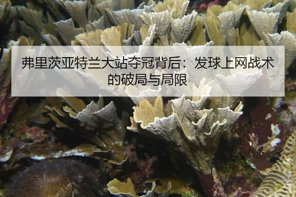 fu-li-ci-ya-te-lan-da-zhan-duo-guan-bei-hou-fa-qiu-shang-wang-zhan-shu-de-po-ju-yu-ju-xian-2-354.jpg